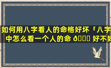 如何用八字看人的命格好坏「八字中怎么看一个人的命 🐘 好不好」